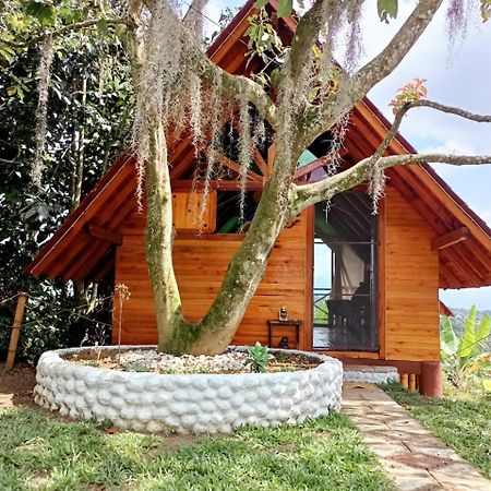 Cabanas La Miranda Filandia Dış mekan fotoğraf