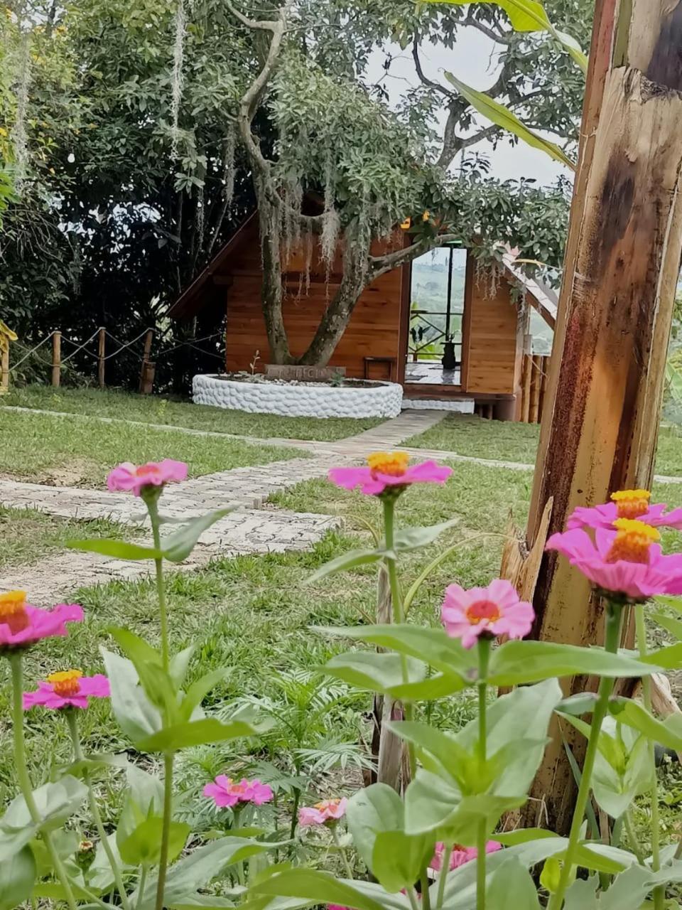 Cabanas La Miranda Filandia Dış mekan fotoğraf