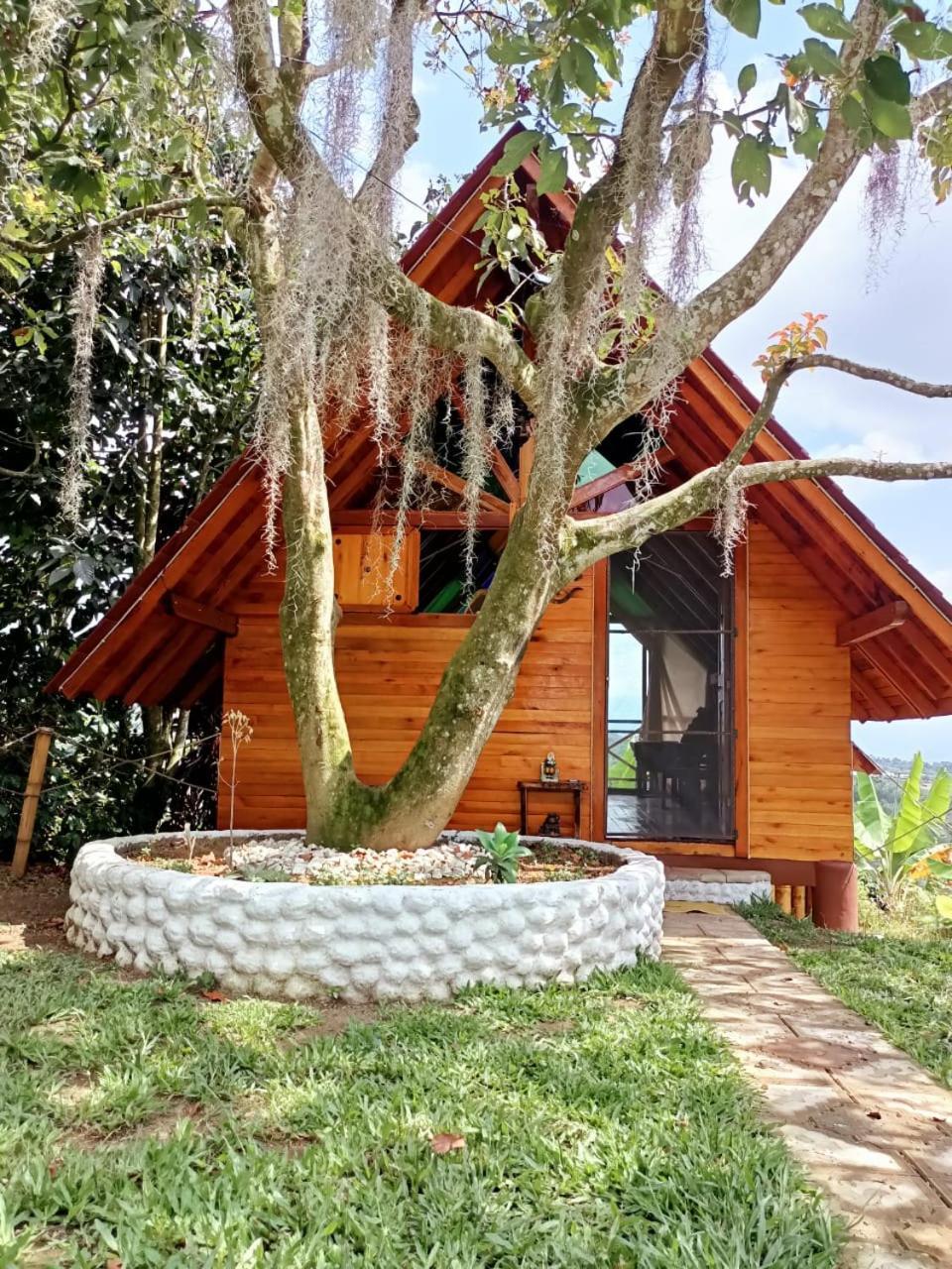 Cabanas La Miranda Filandia Dış mekan fotoğraf