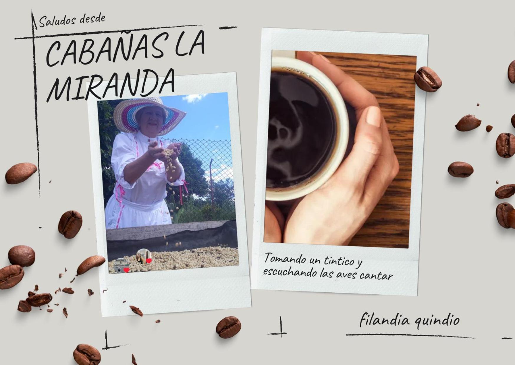 Cabanas La Miranda Filandia Dış mekan fotoğraf