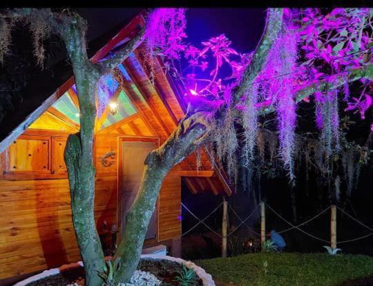 Cabanas La Miranda Filandia Dış mekan fotoğraf